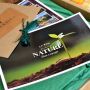 Gourmet-BIO-Vegetarier-geschenkbox mit Rotwein von La Gourmet Box 