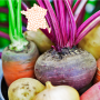 Coffret gourmand Vegetarien par La Gourmet Box