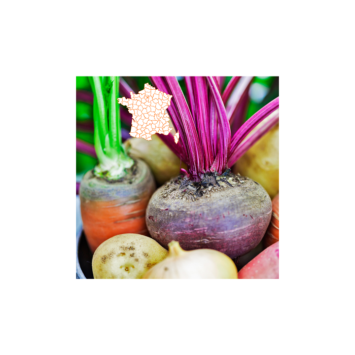 Coffret gourmand Vegetarien par La Gourmet Box