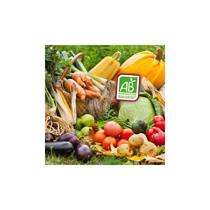 The ORGANIC gourmet gift basket BIO BOX