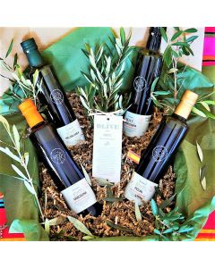DELUXE OLIVE OIL GOURMET GIFT BOX