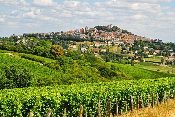 Sancerre Blanc cuvee les Monts Damnés Bailly Reverdy wine gift box