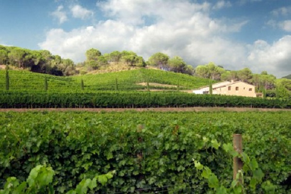 Can Grau Vell coffret cadeau vin espagnol de la Gourmet Box