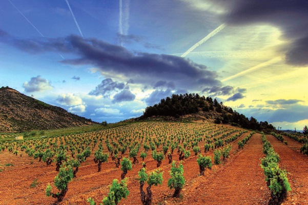 Do Rioja vin Tempranillo